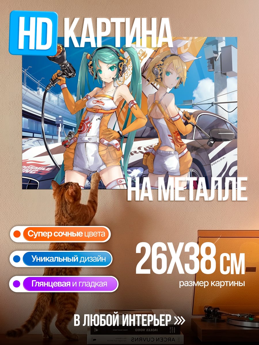 Картина на металле Гонщицы Мику и Рин