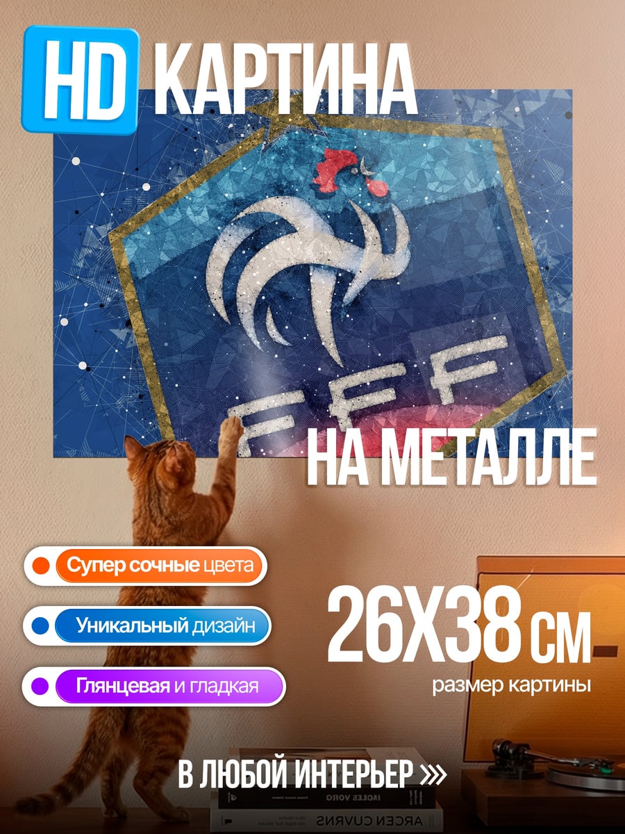 Картина на металле Логотип FFF