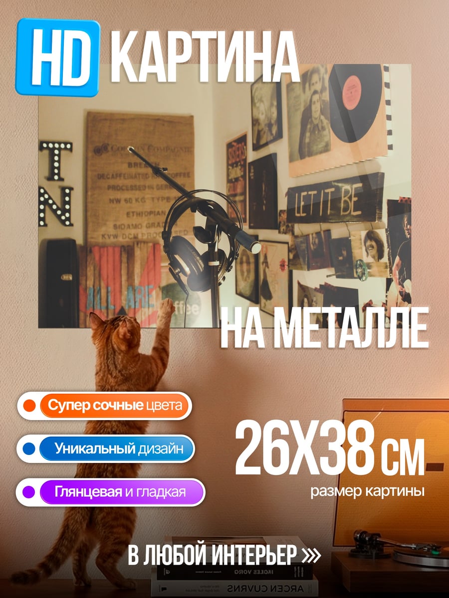 Картина на металле Музыкальная комната