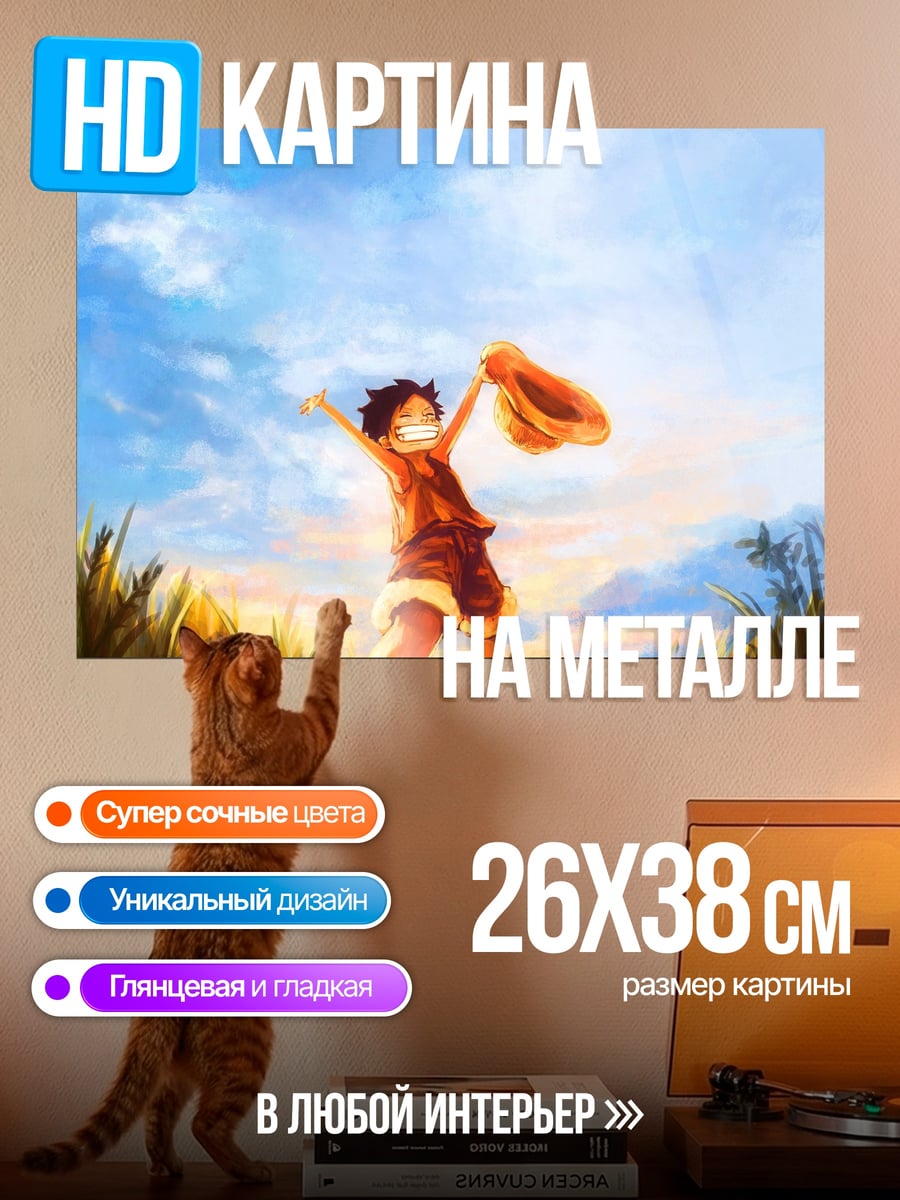 Картина на металле Манки Д. Луффи