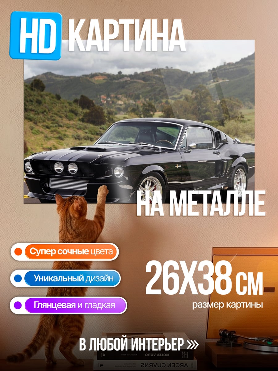 Картина на металле Черный Мустанг на дороге
