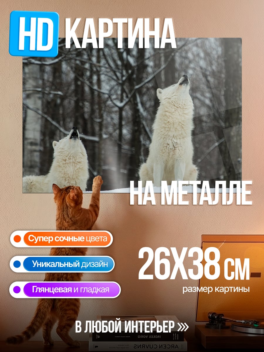 Картина на металле Воющие волки зимой