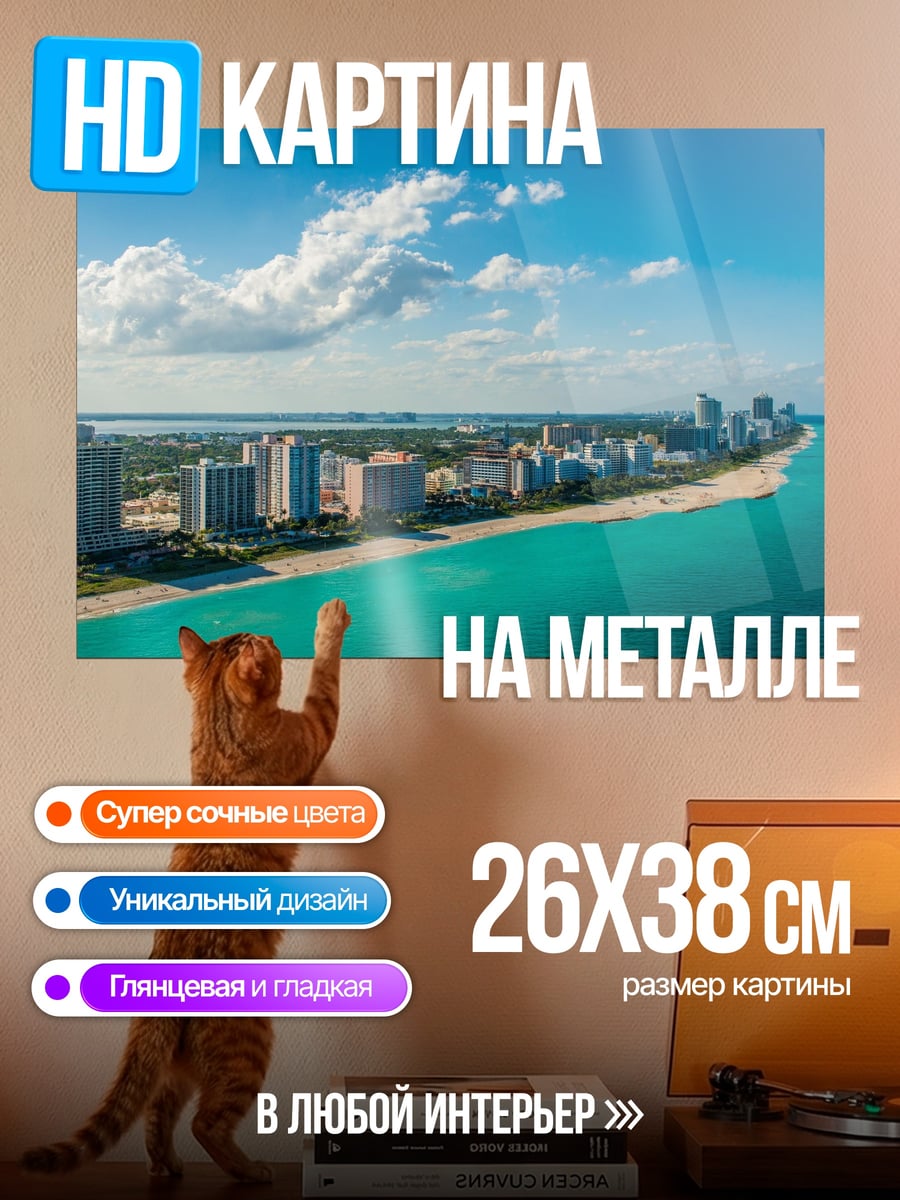 Картина на металле Побережье Майами