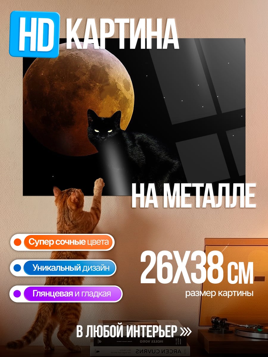Картина на металле Черный кот