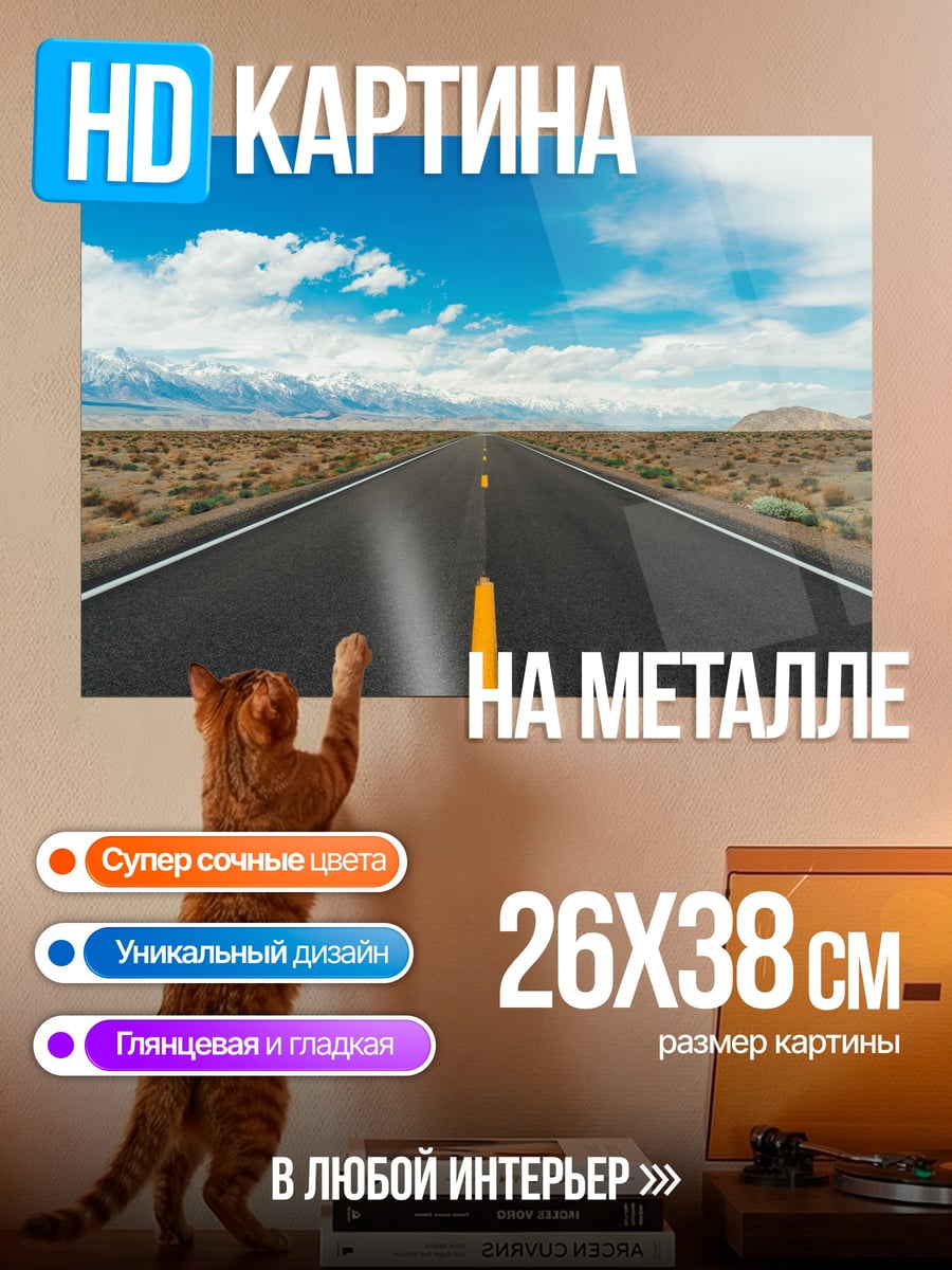 Картина на металле Пустая дорога пустыня