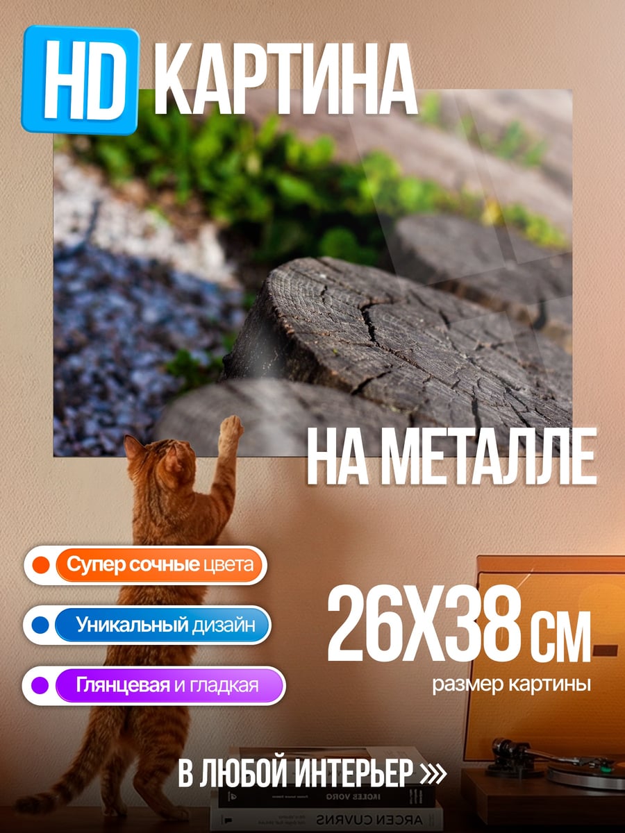 Картина на металле Срубы деревьев трава