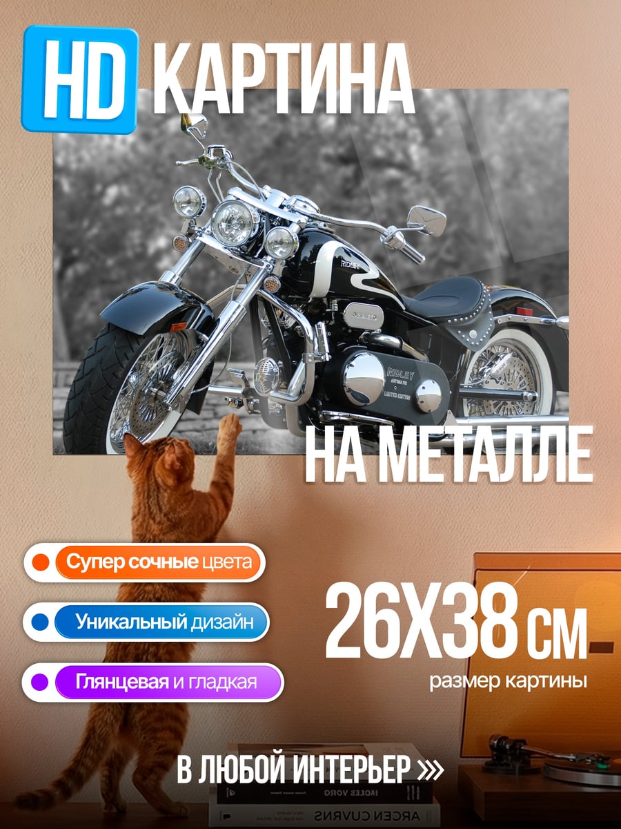 Картина на металле Чоппер мотоцикл хром