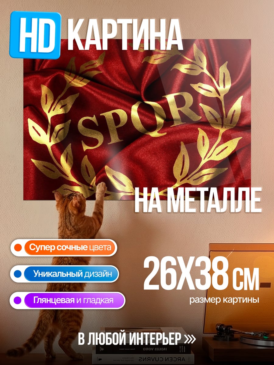 Картина на металле SPQR Римская Империя