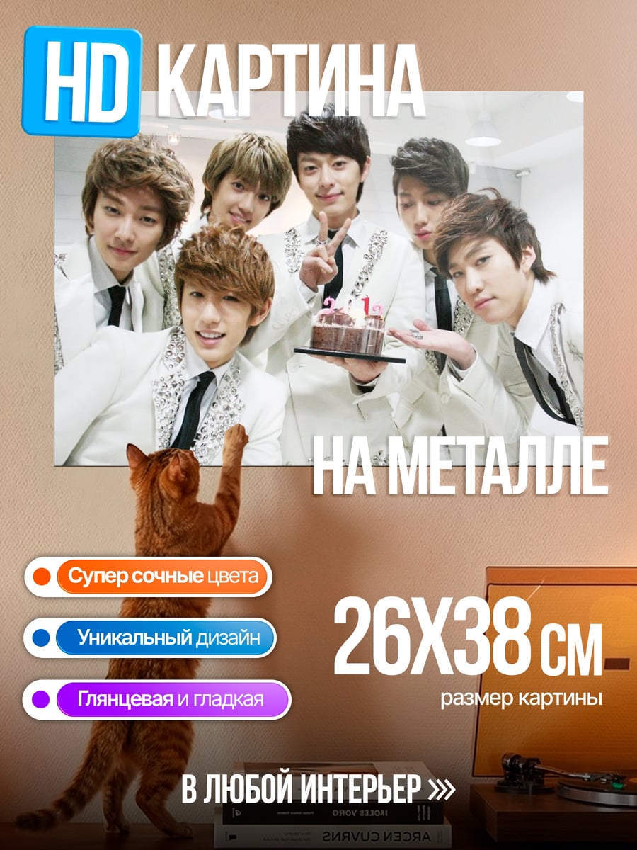 Картина на металле K-pop группа торт