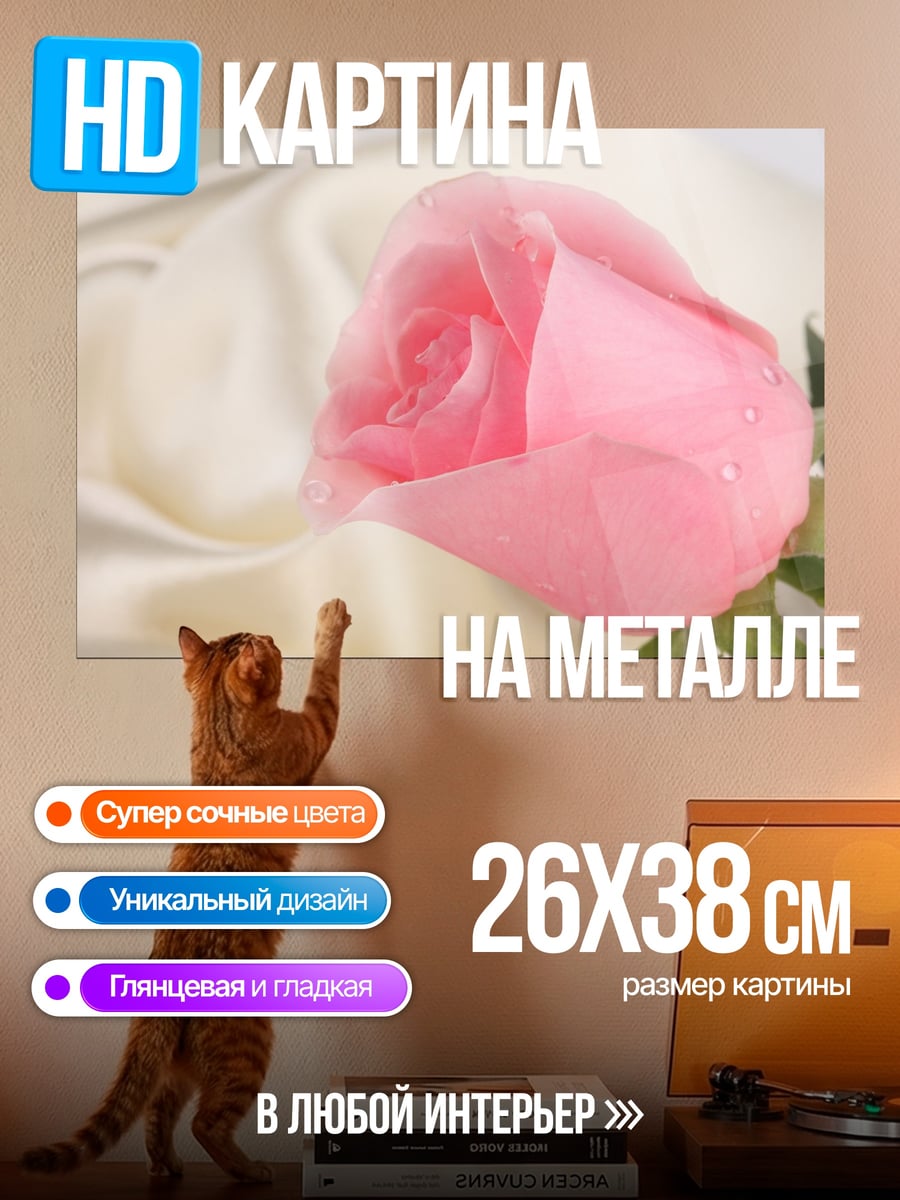 Картина на металле розовая роза на шелке