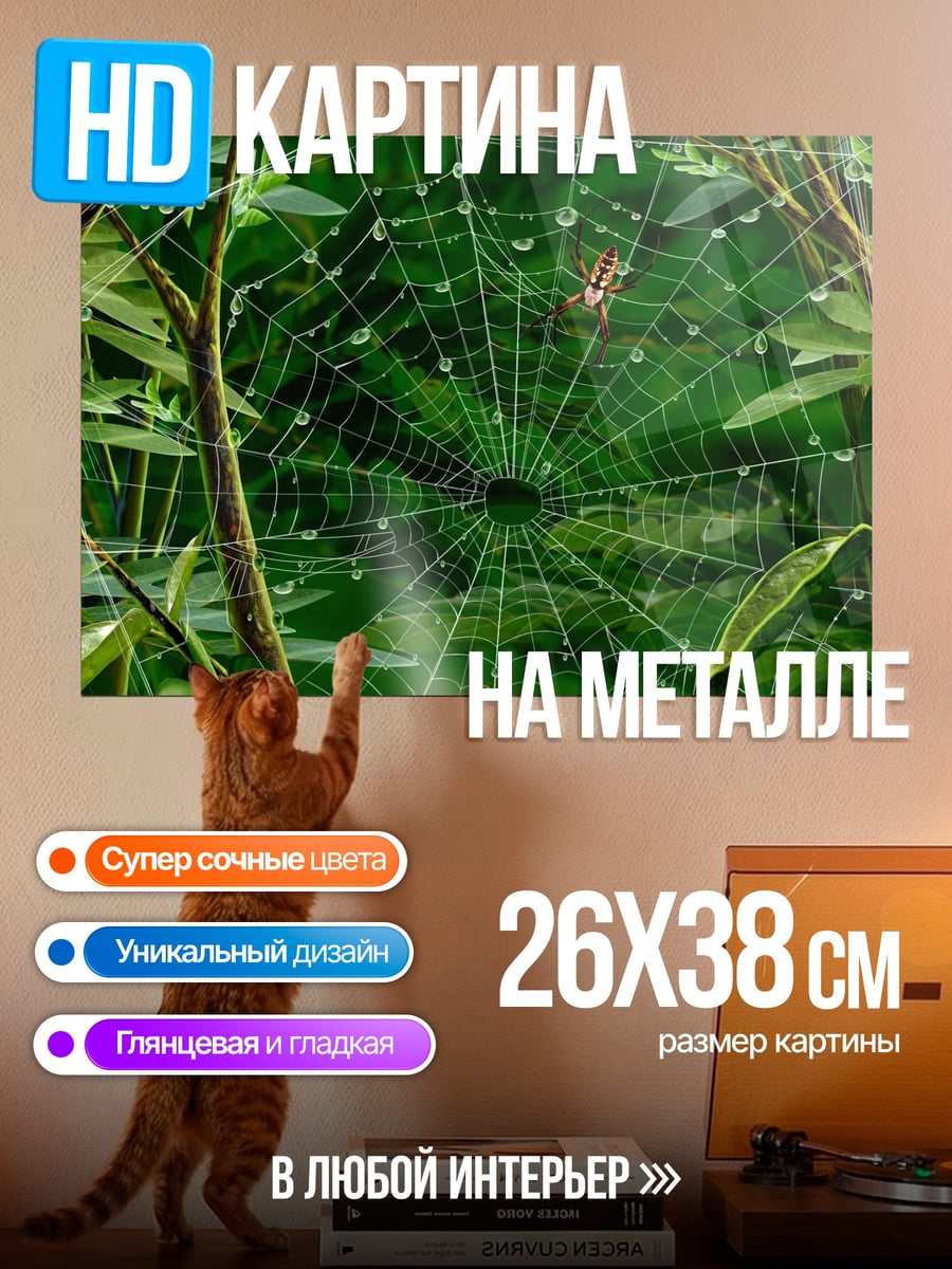Картина на металле паутина с каплями