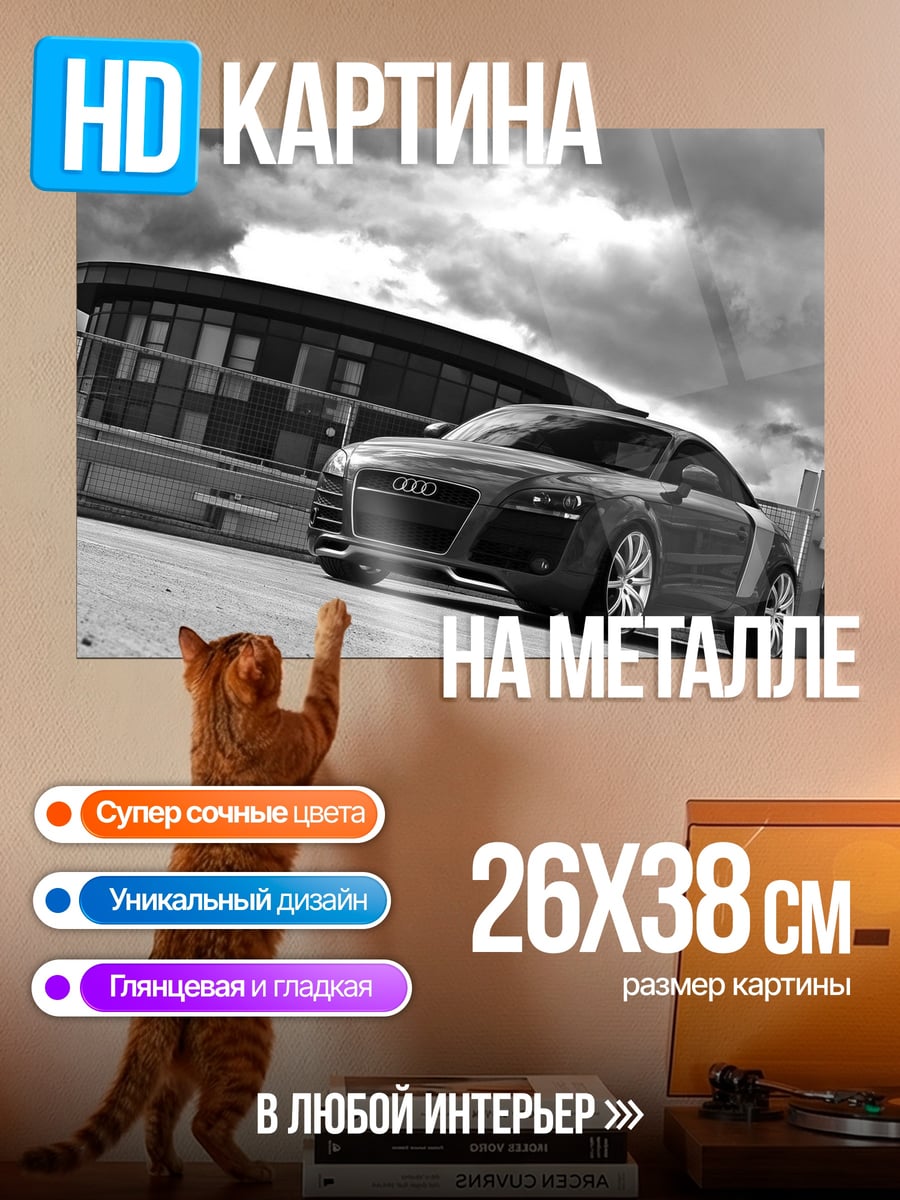 Картина на металле черно-белое авто