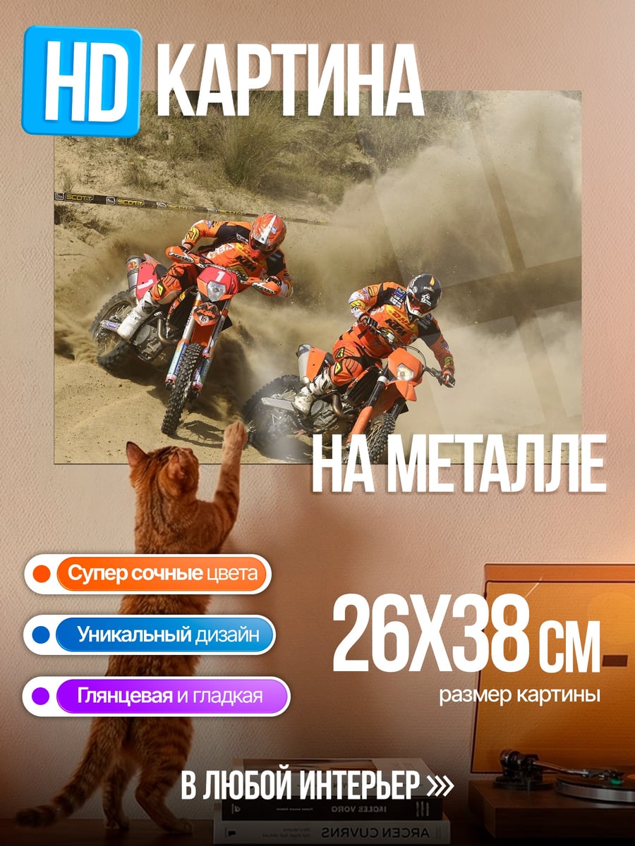 Картина на металле Гонщики по бездорожью