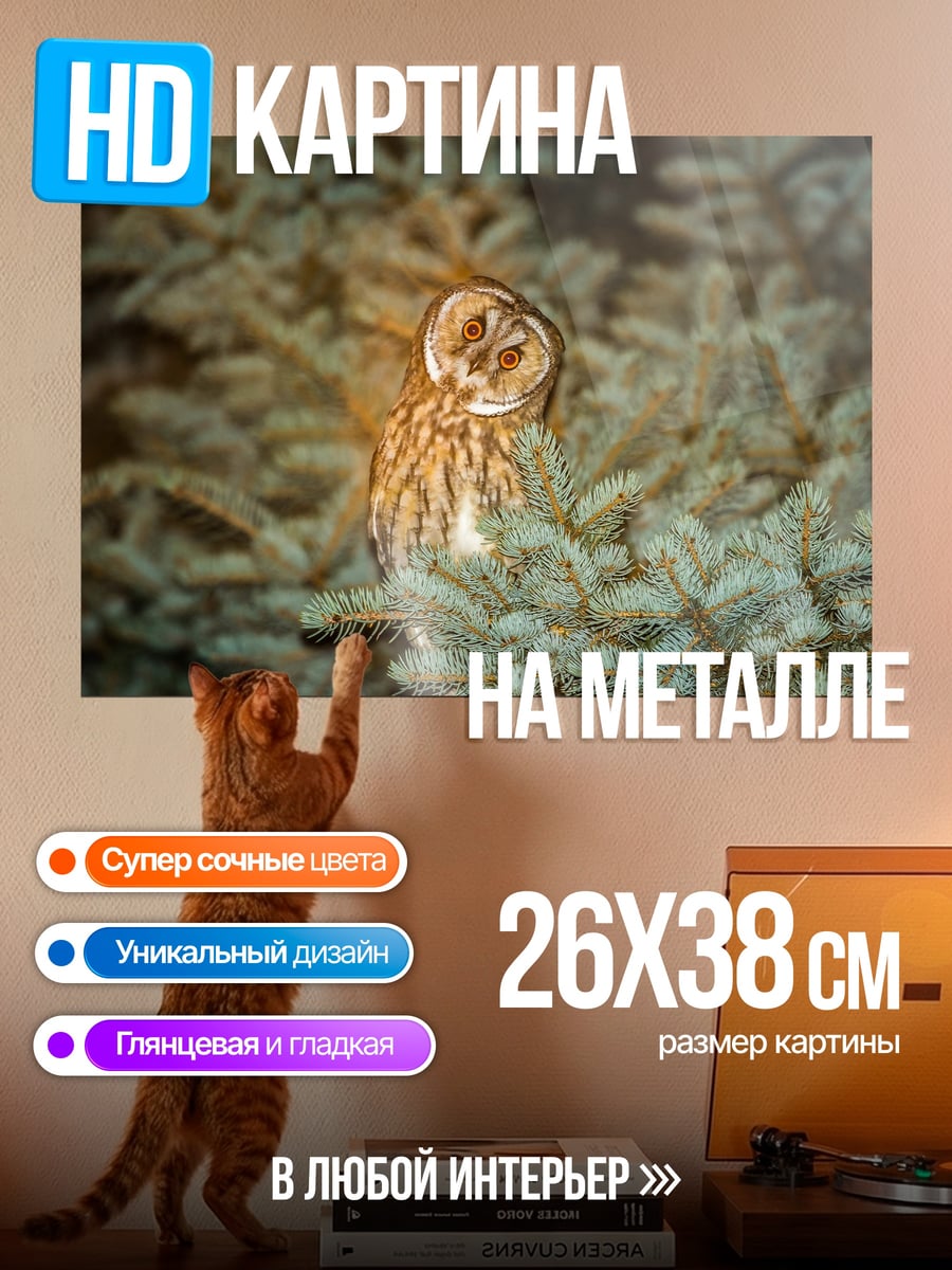 Картина на металле Сова на ветке ели