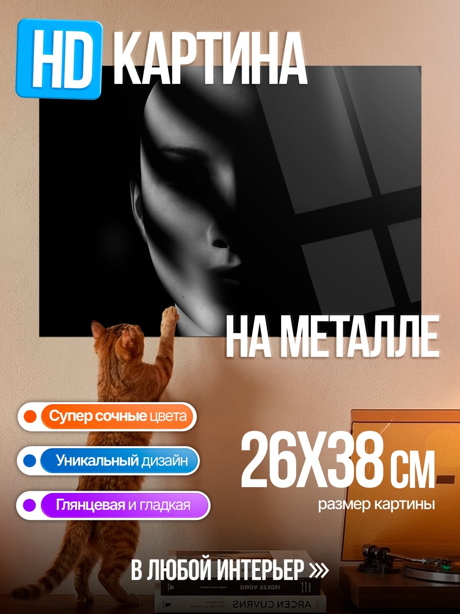 Картина на металле Лицо в тени