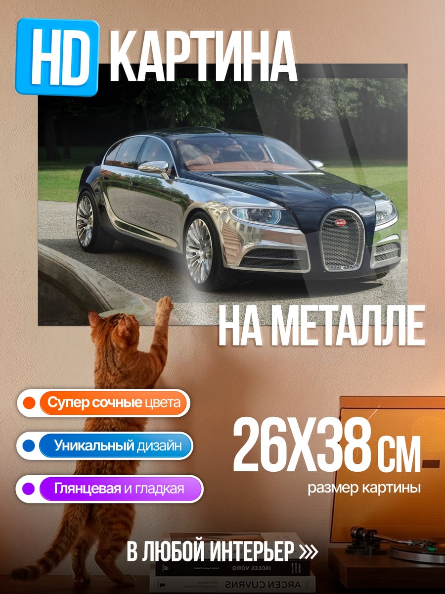 Картина на металле Бугатти в парке