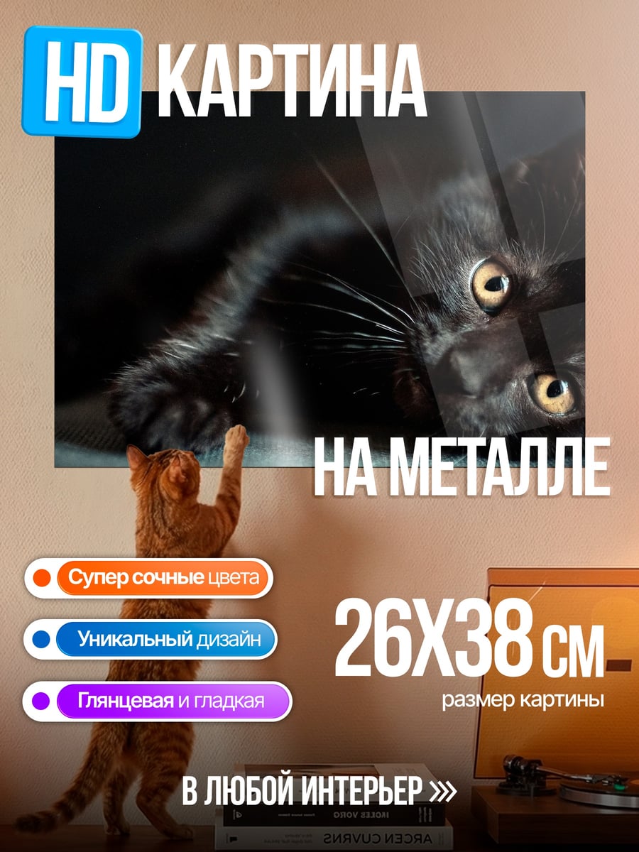 Картина на металле Черный кот