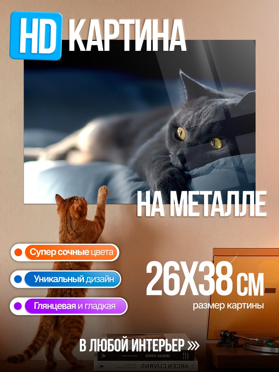 Картина на металле Серый кот