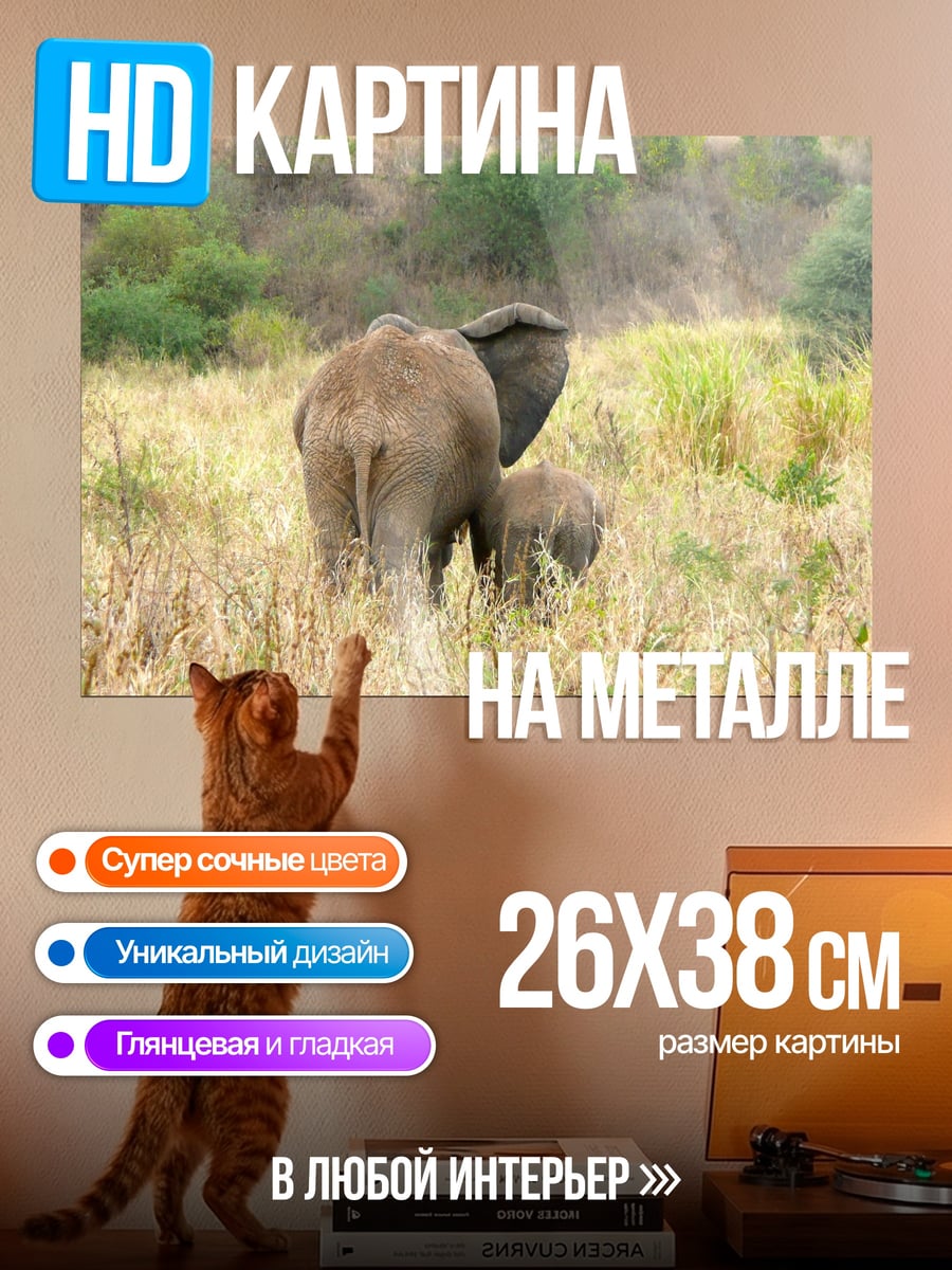 Картина на металле Слоны в саванне