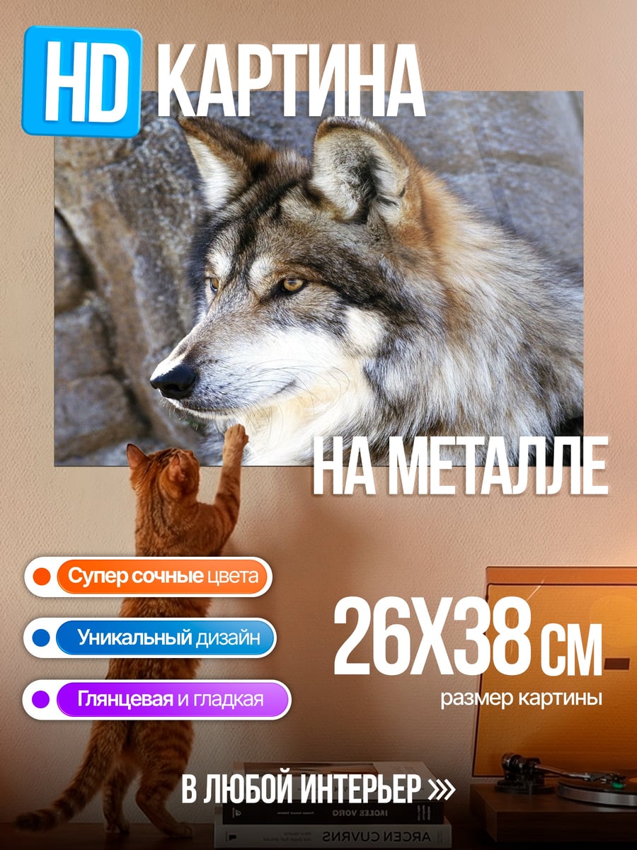 Картина на металле портрет волка