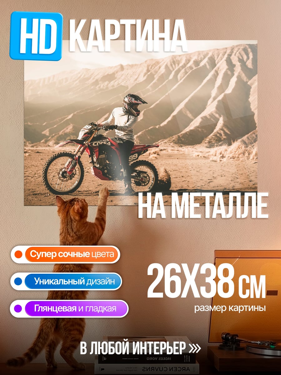 Картина на металле мотоциклист в пустыне