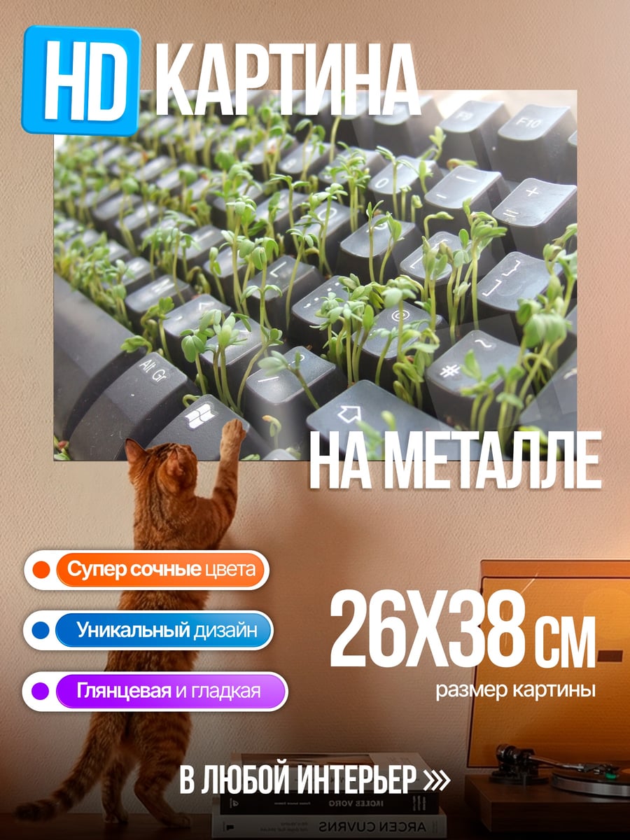 Картина на металле клавиатура с ростками