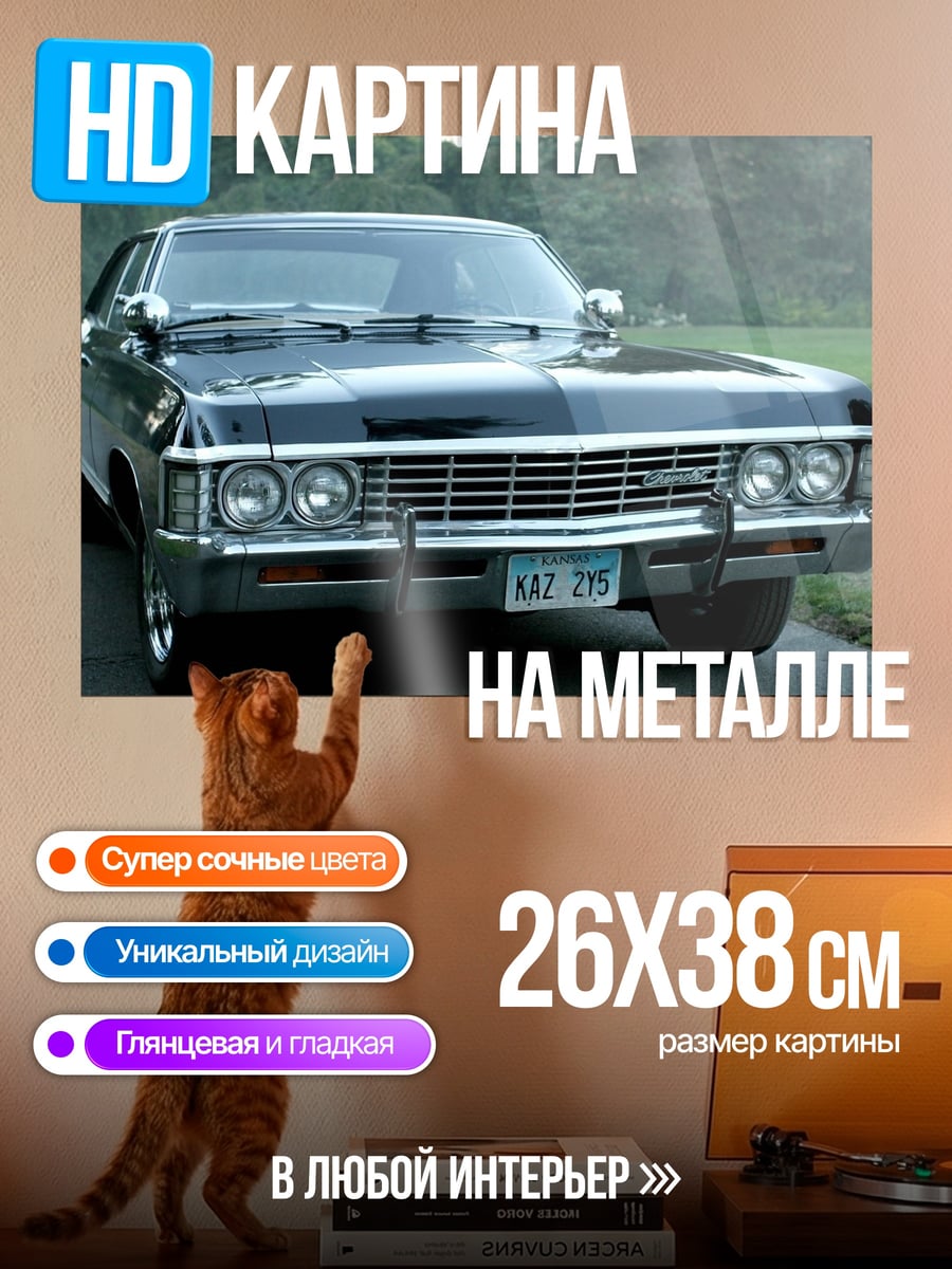 Картина на металле Черный Импила 1967