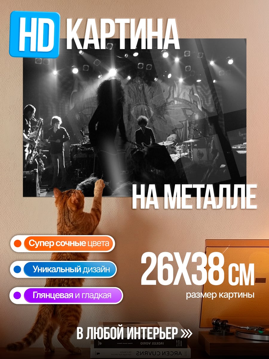 Картина на металле Концерт рок группы