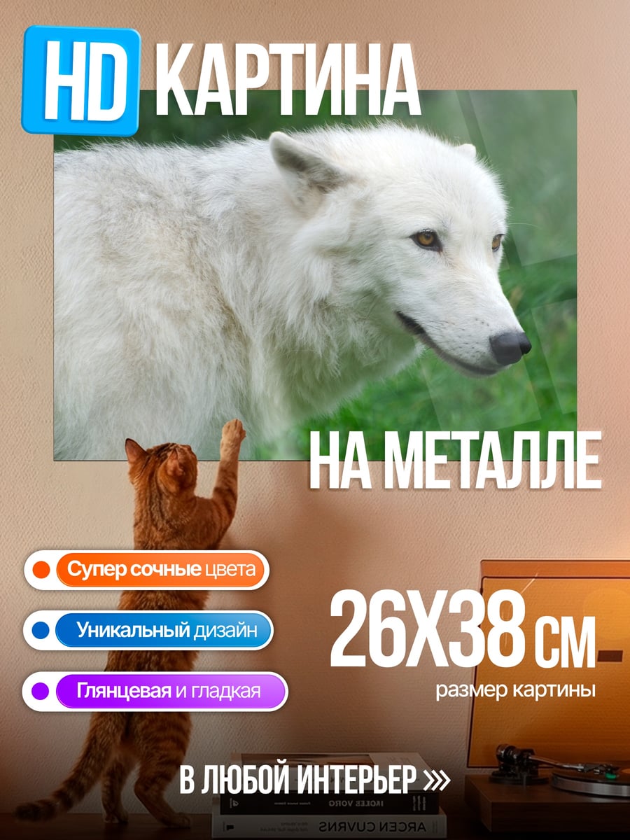 Картина на металле Белый волк