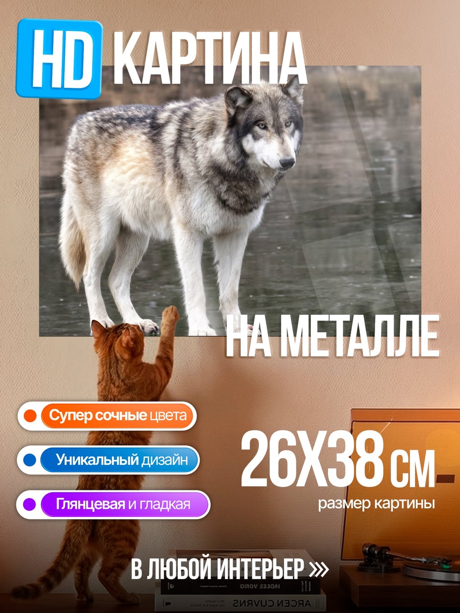 Картина на металле Волк у воды