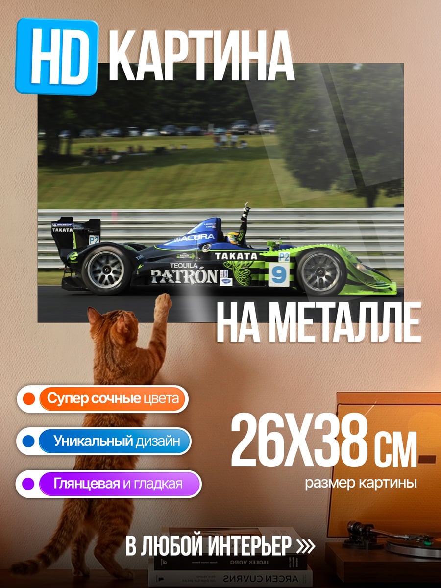 Картина на металле Гоночный автомобиль Patron