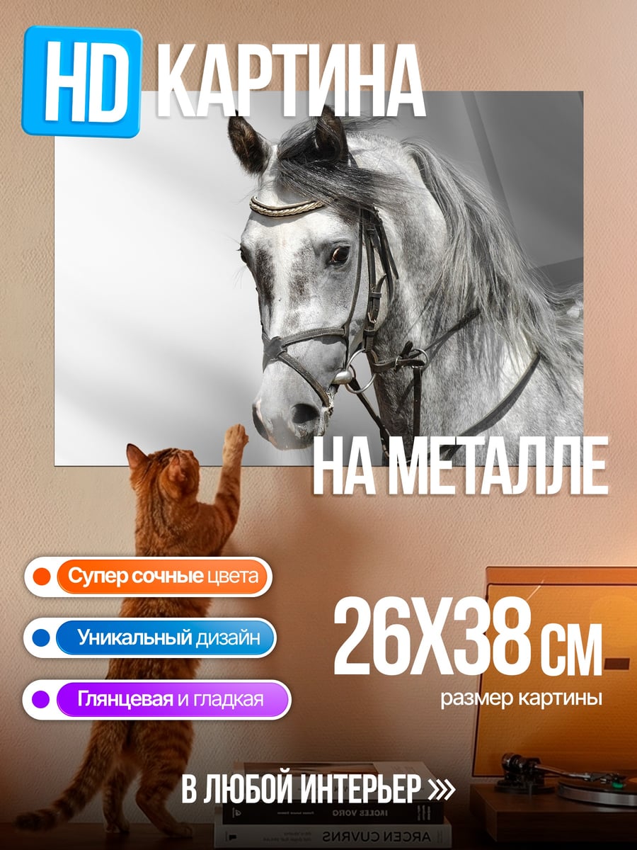 Картина на металле Арабский конь
