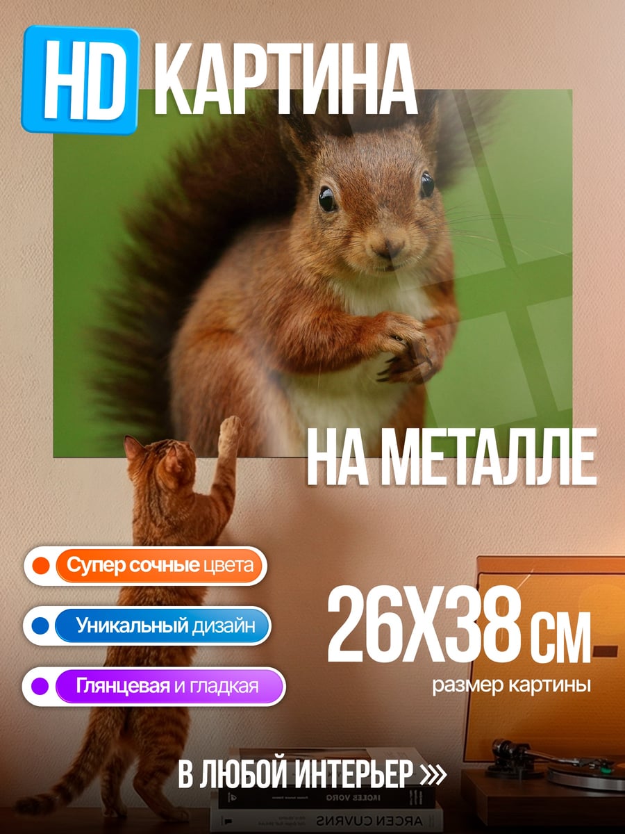 Картина на металле рыжая белка