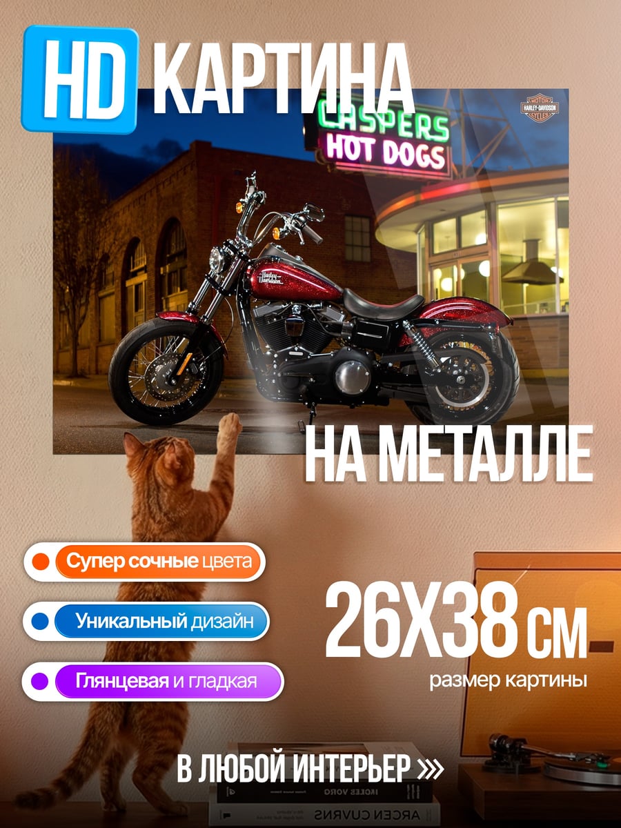 Картина на металле мотоцикл у закусочной