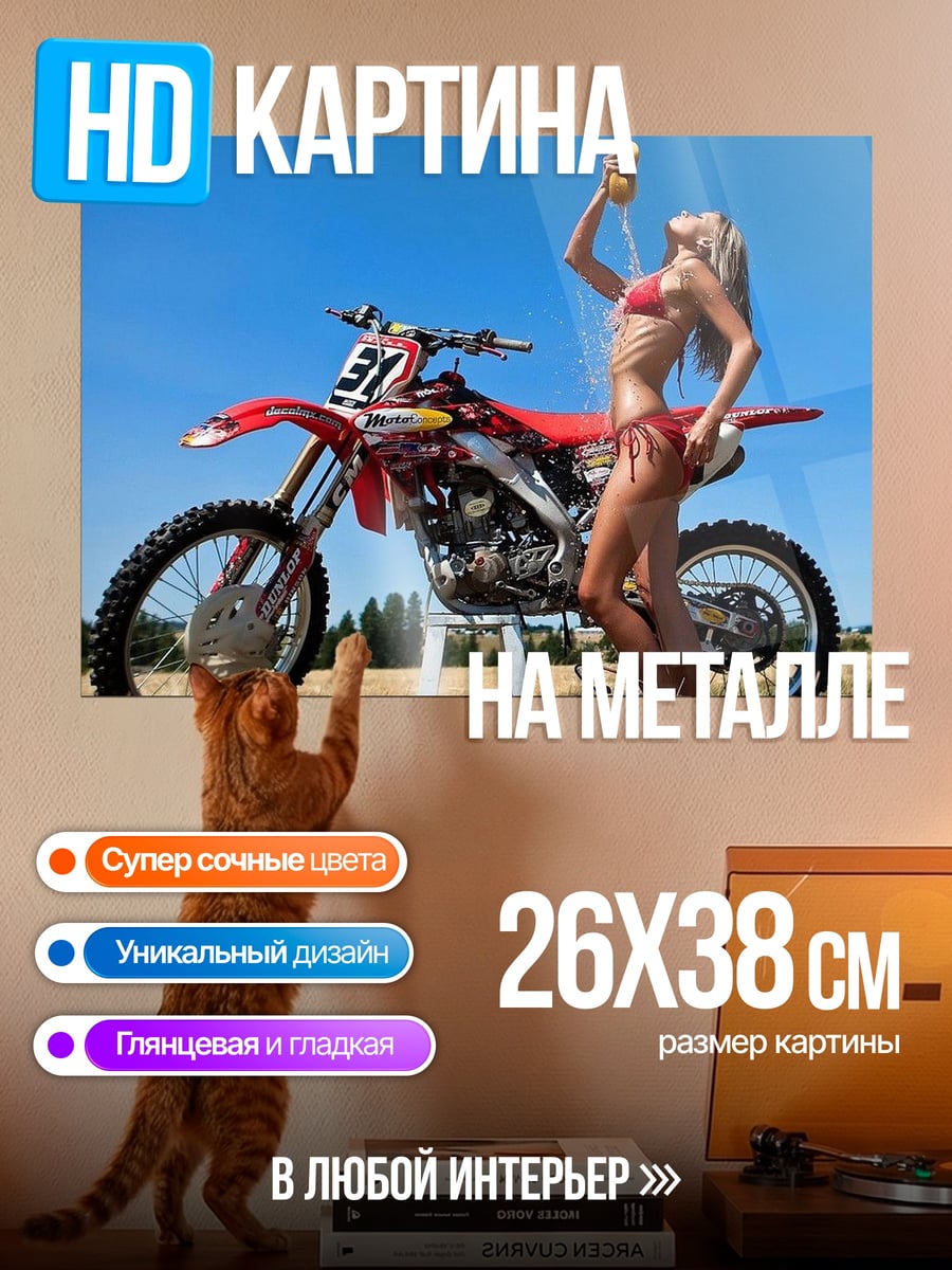 Картина на металле Девушка моет мотоцикл