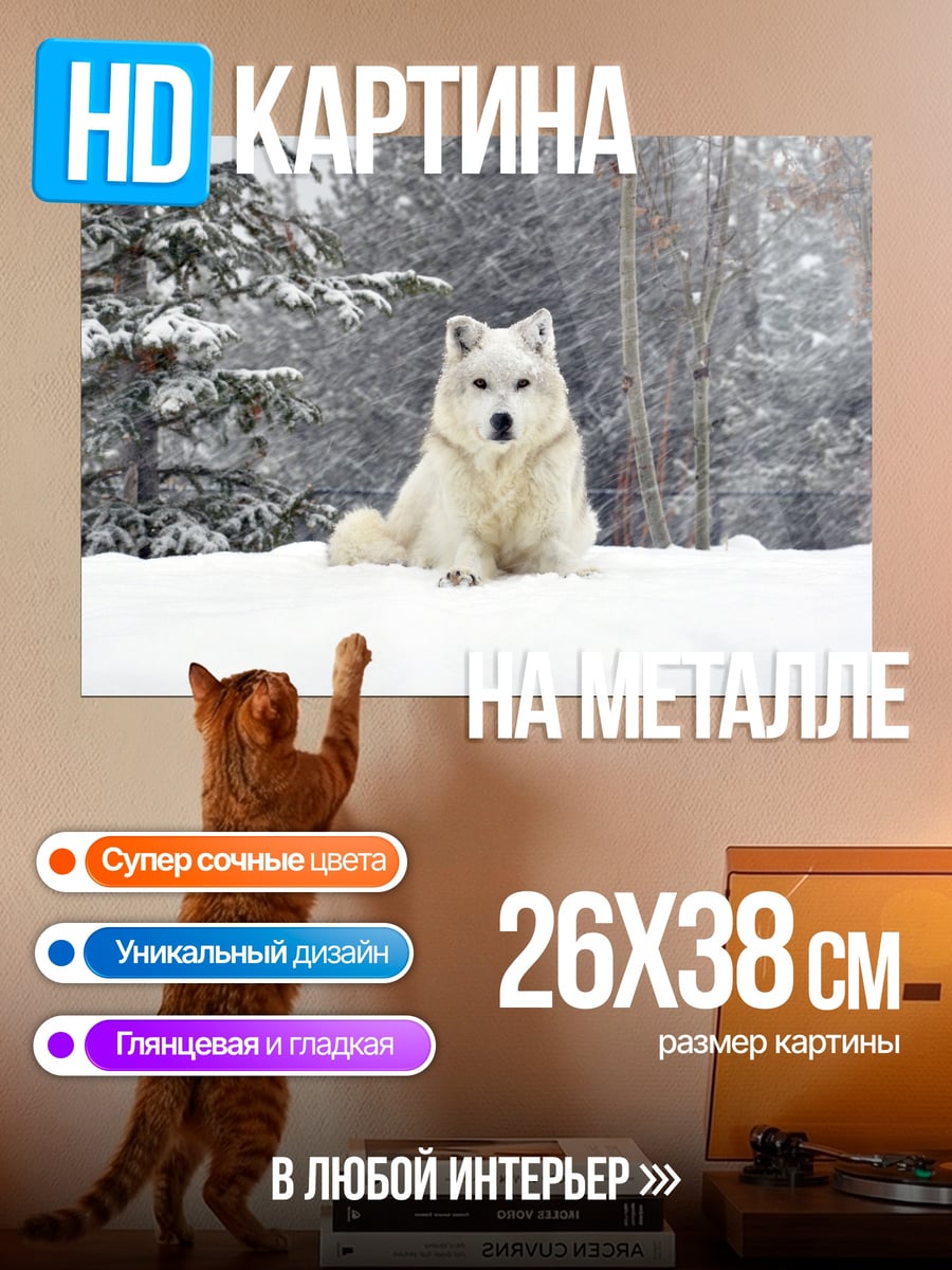 Картина на металле белый волк снег