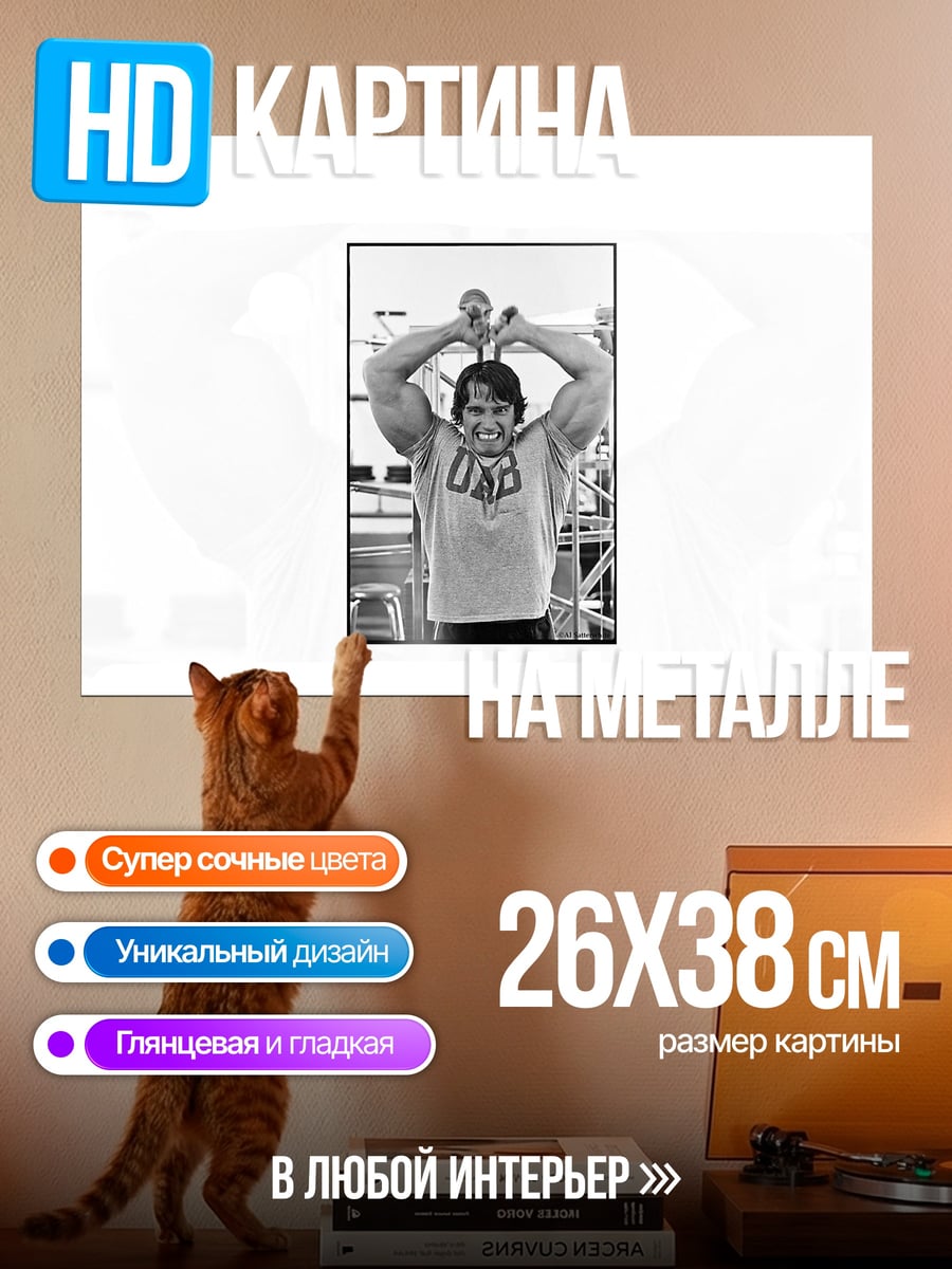 Картина на металле Арнольд Шварценеггер
