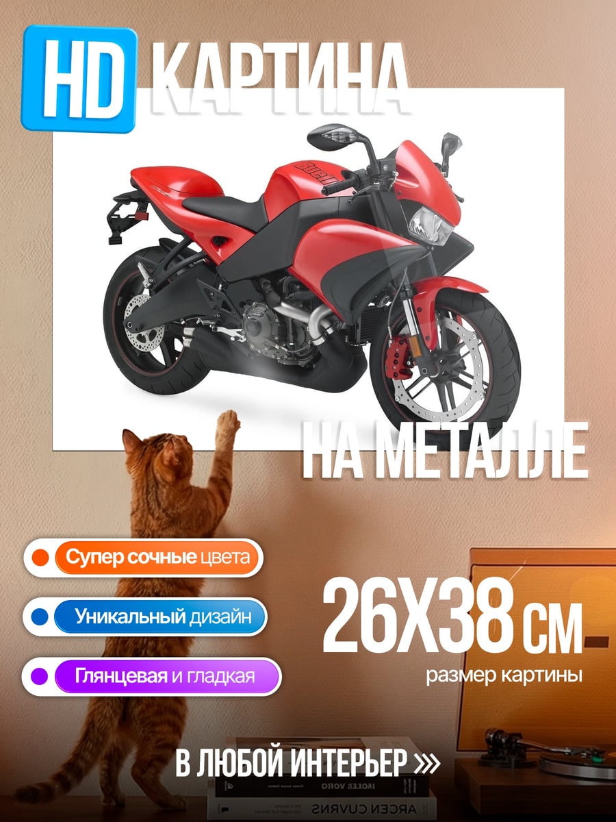 Картина на металле Красный спортбайк