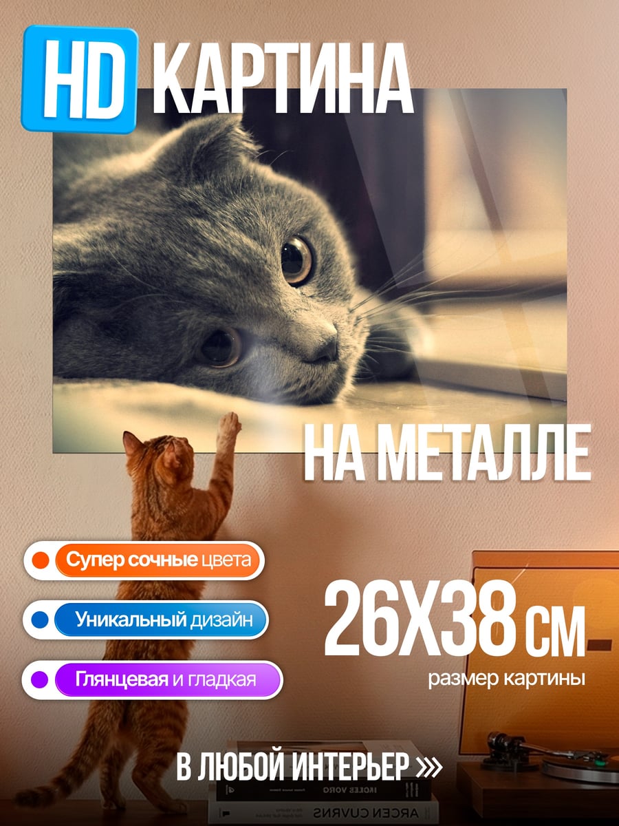 Картина на металле грустный кот