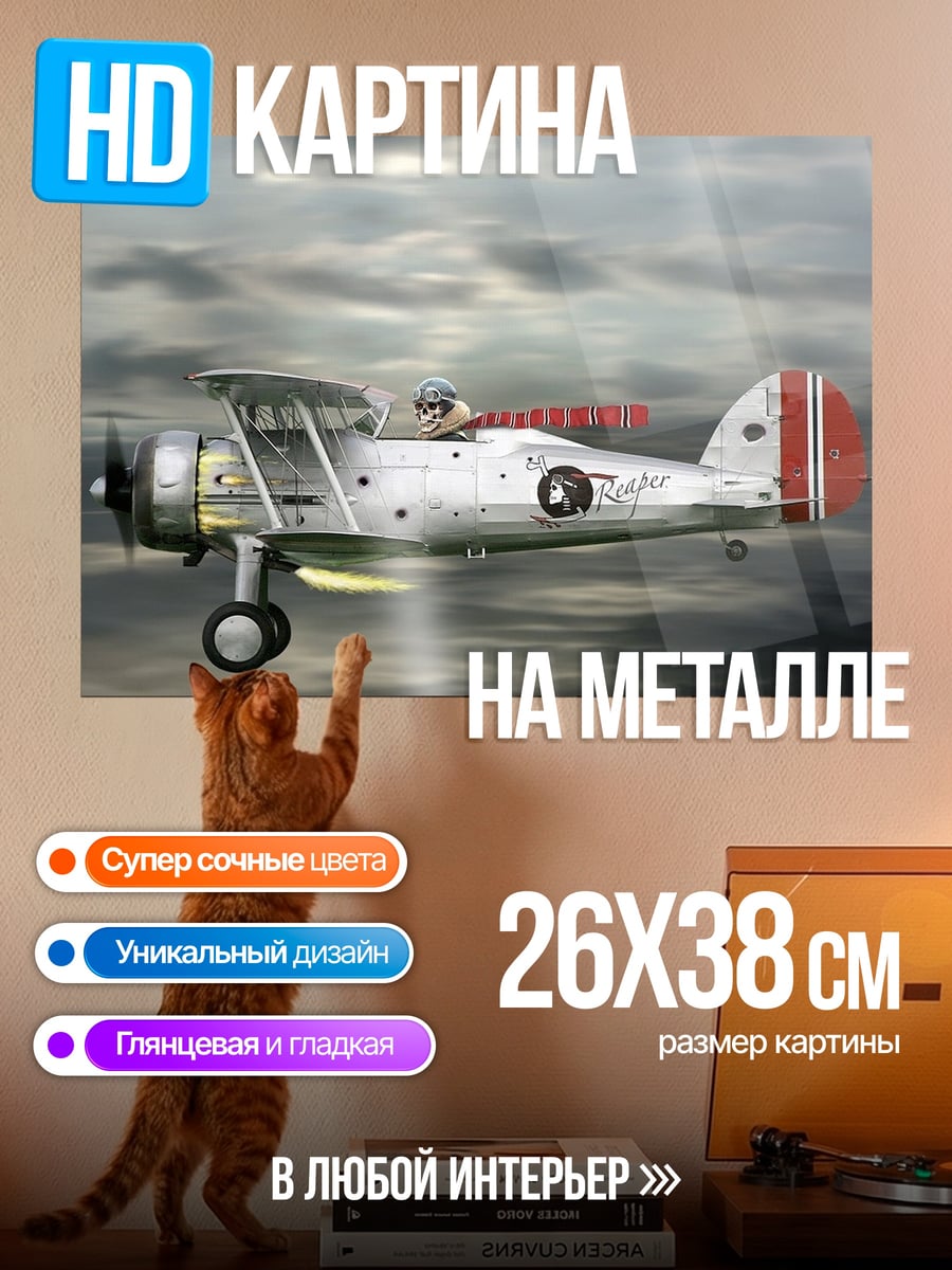Картина на металле самолет в небе