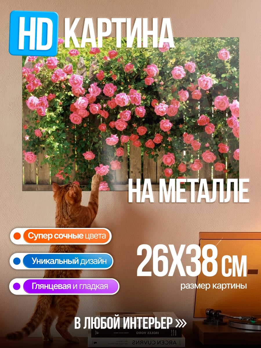 Картина на металле розовые розы забор