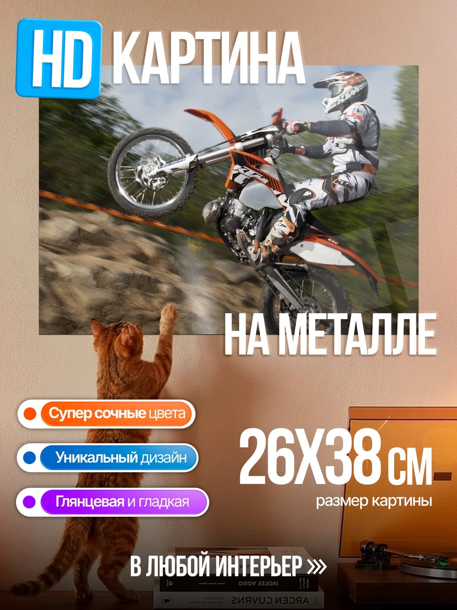 Картина на металле Мотоциклист на заднем колесе