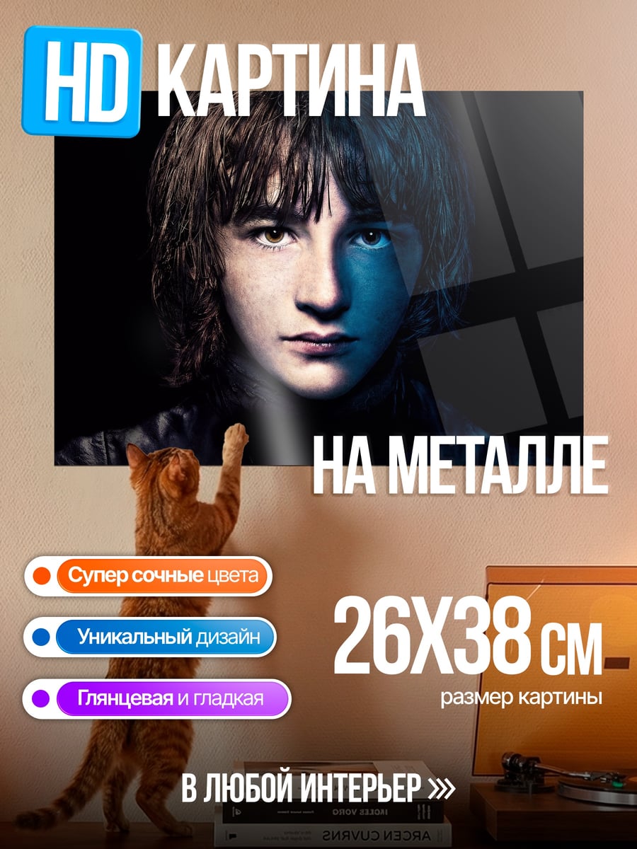 Картина на металле бран старк