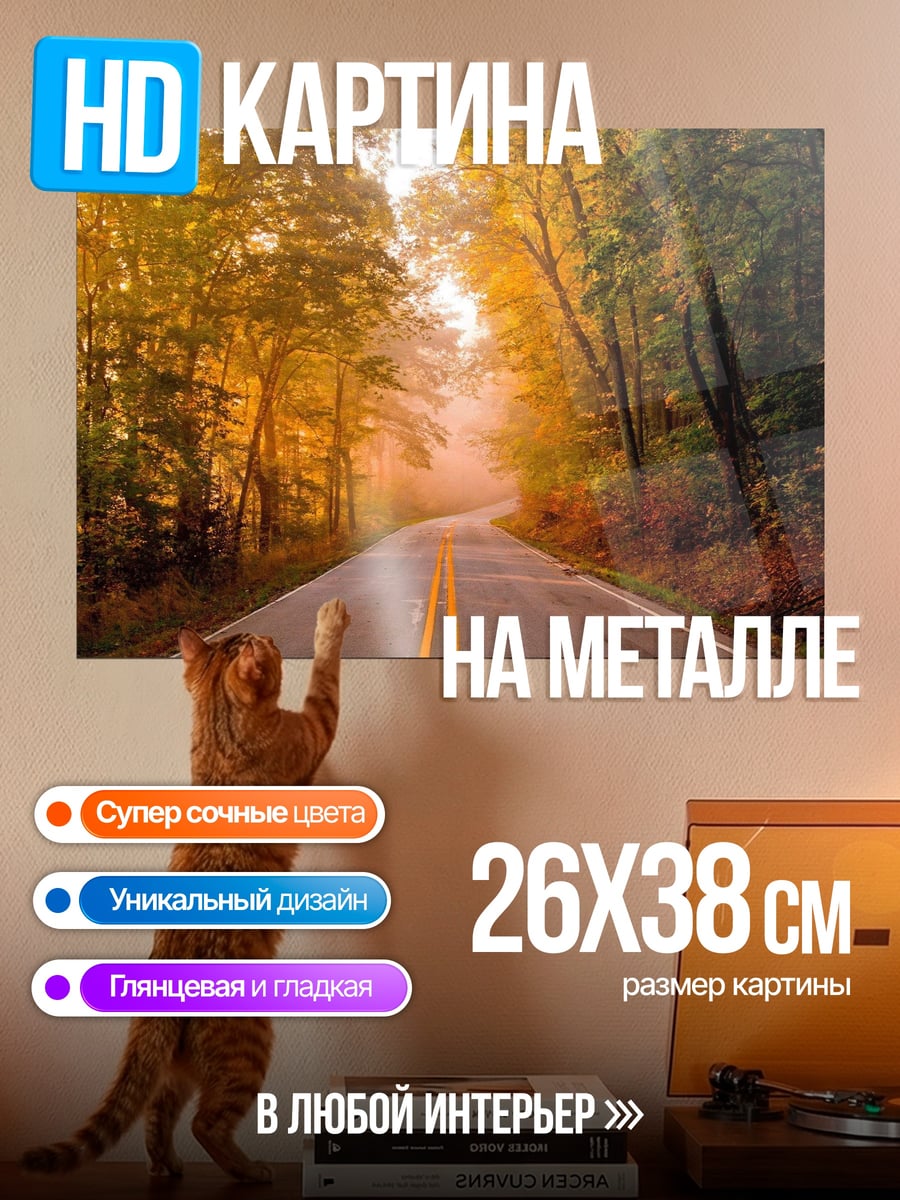 Картина на металле Осенняя дорога