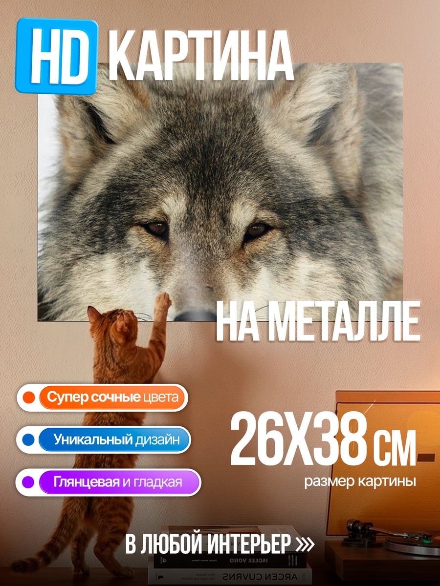 Картина на металле Портрет волка