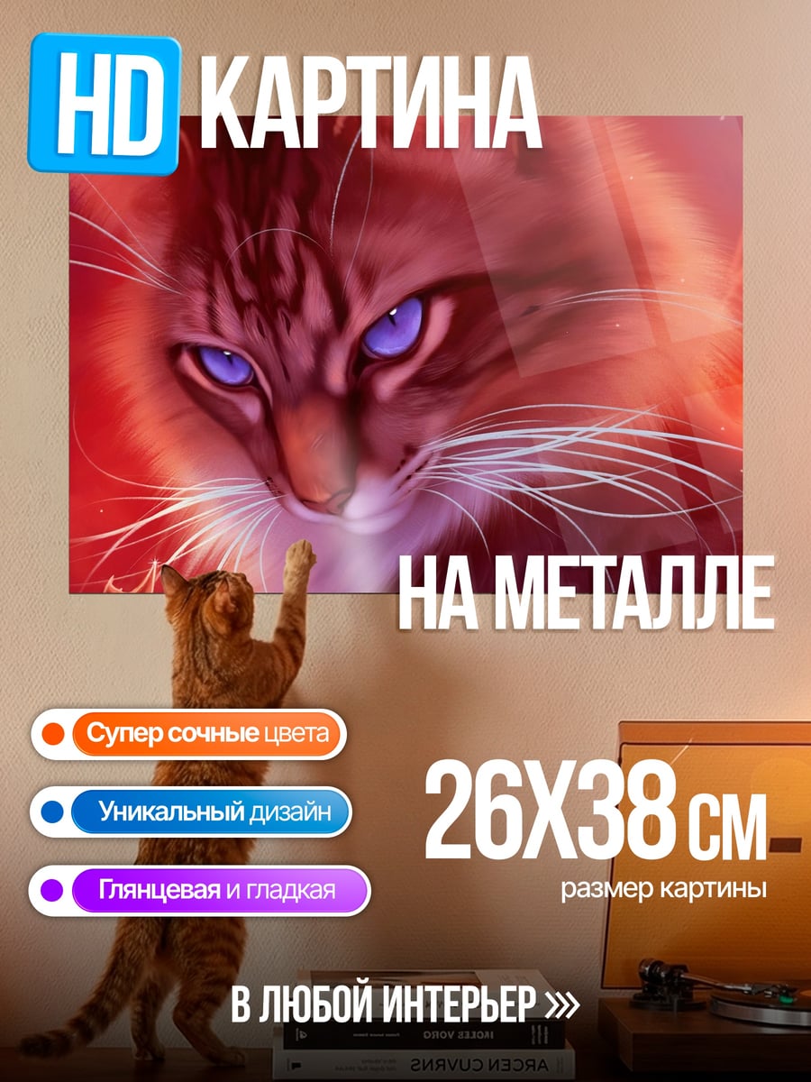 Картина на металле кот синие глаза