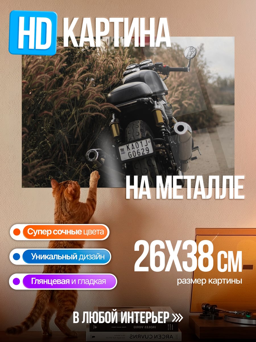 Картина на металле мотоцикл стоп знак