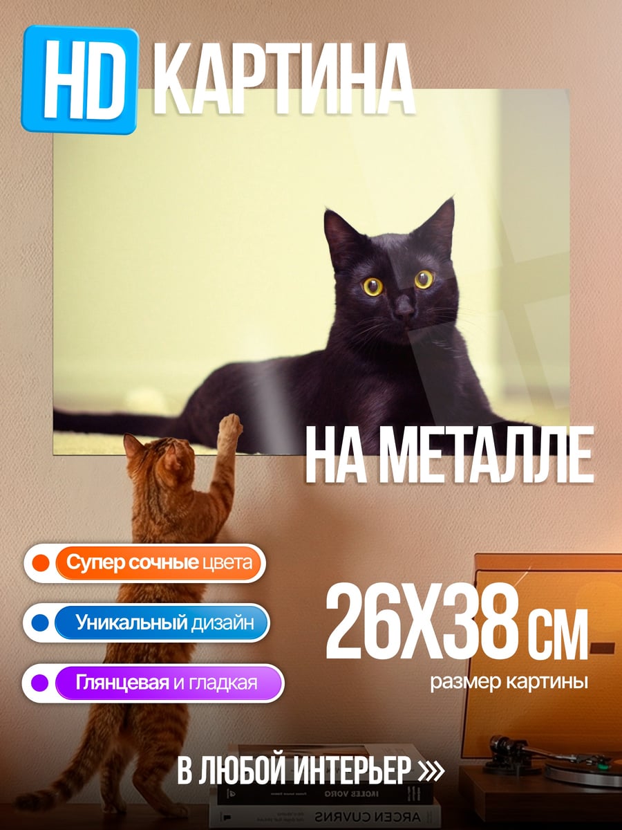 Картина на металле черная кошка лежит