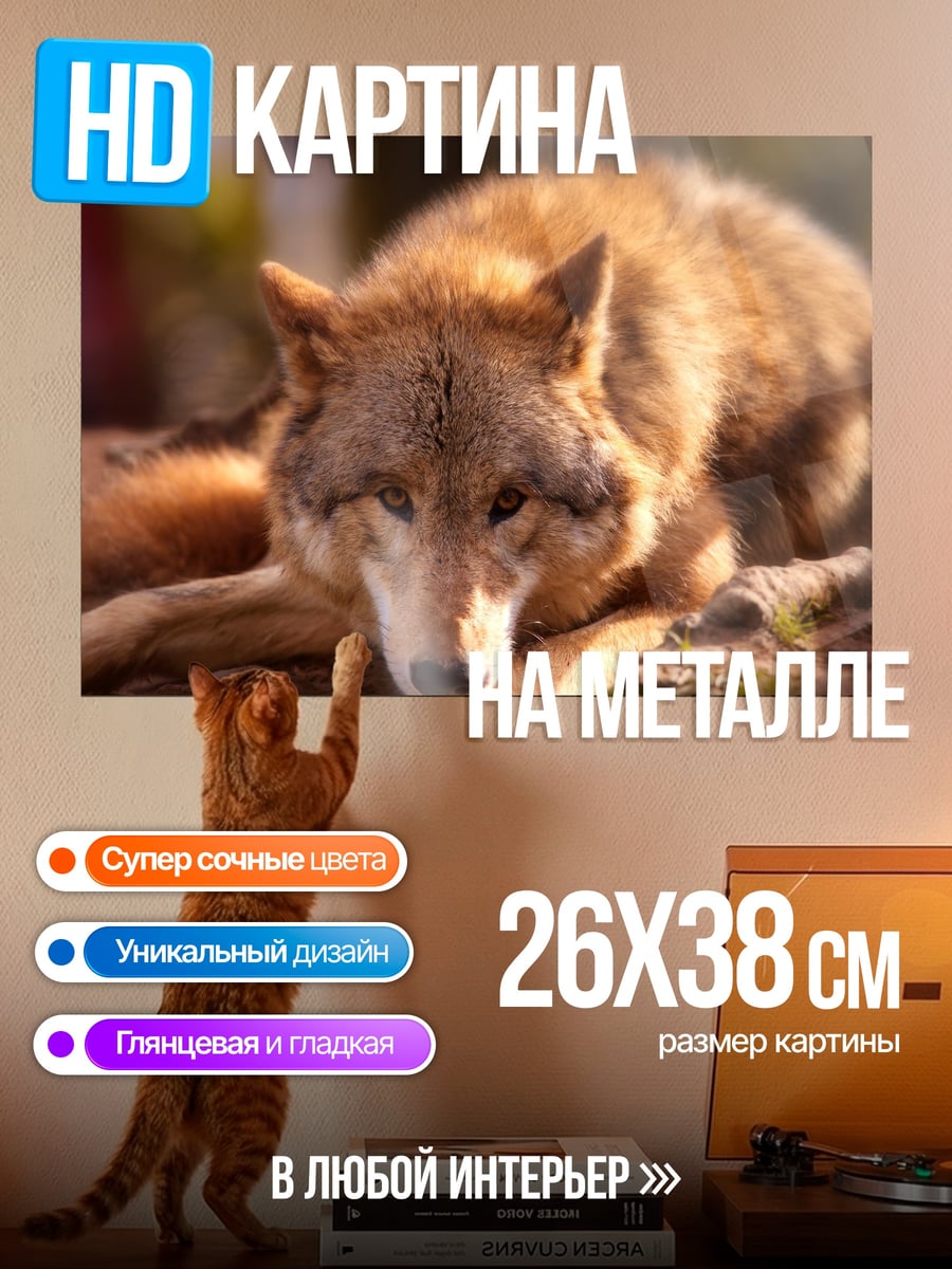 Картина на металле Лежащий волк