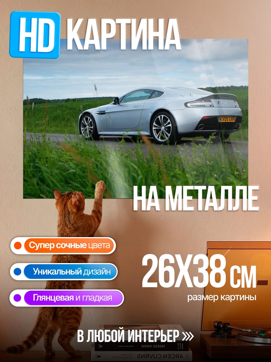 Картина на металле Гоночный автомобиль